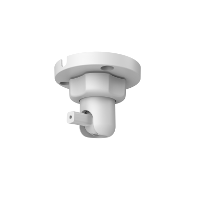 ARA33A
