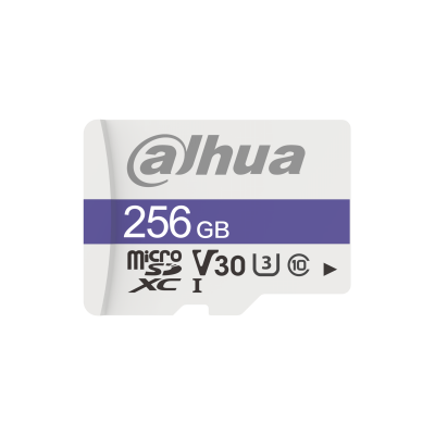 SD CARD 256 GB